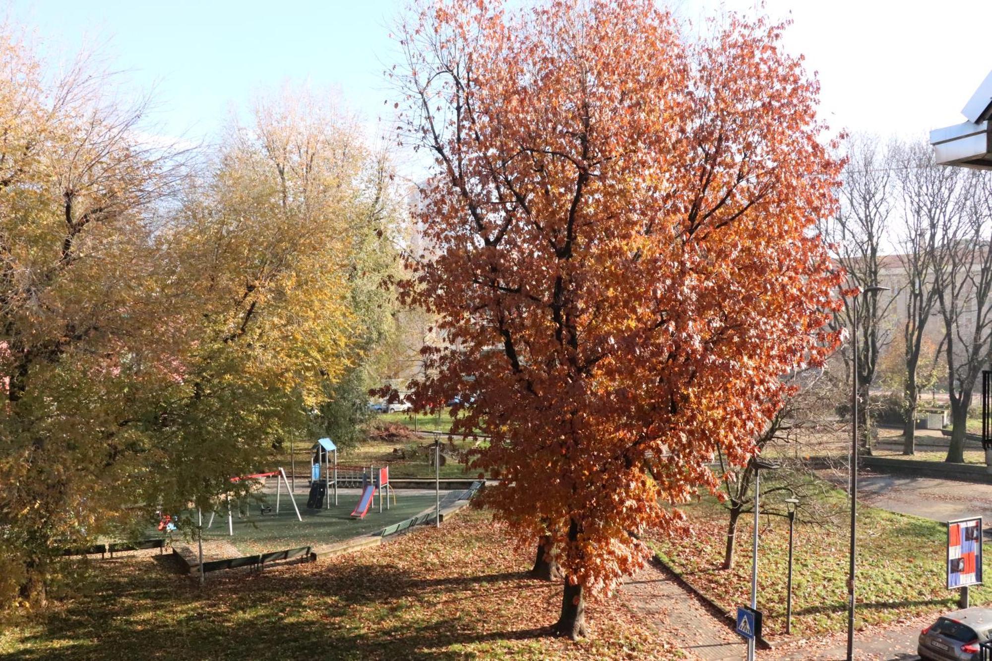 Appartamento Milano, Bovisa Politecnico, Dergano Metropolitana, Wifi - Garden Exterior foto